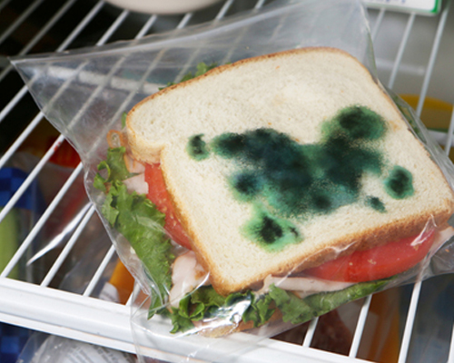 April Fools Day Pranks for Kids - Moldy Sandwich