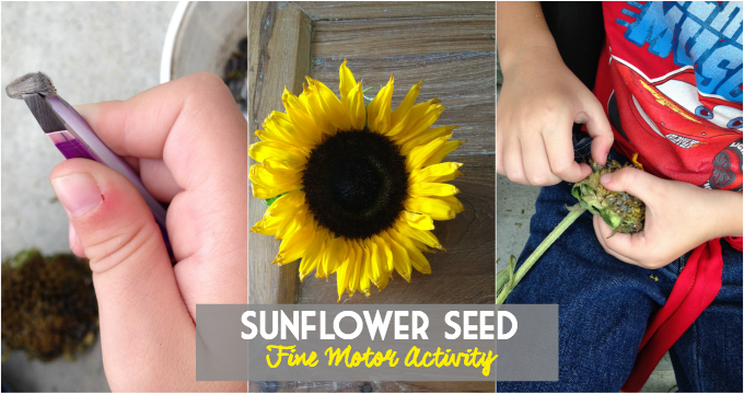 Sunflower Seed fine motor activity